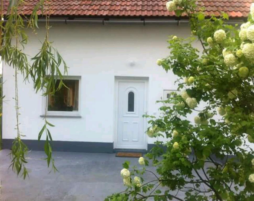 Guest House First Stop Rakovica Exterior photo