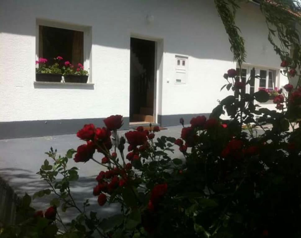 Guest House First Stop Rakovica Exterior photo