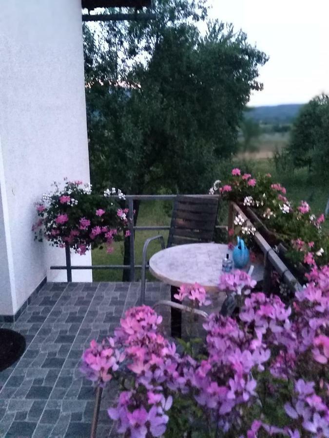 Guest House First Stop Rakovica Exterior photo